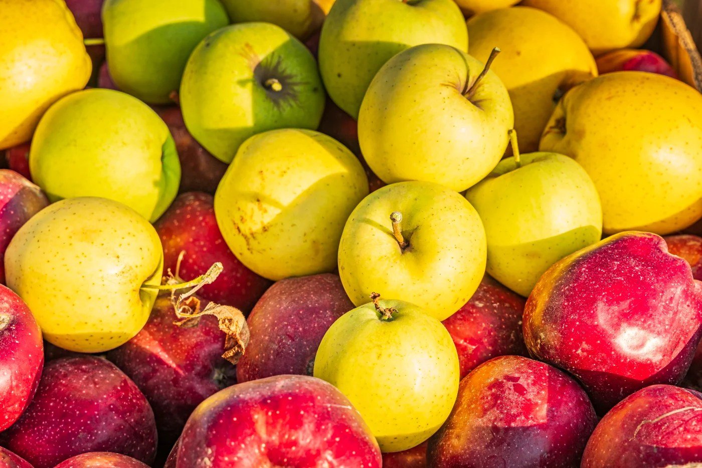 BANT: B2B Lead Qualification Framework