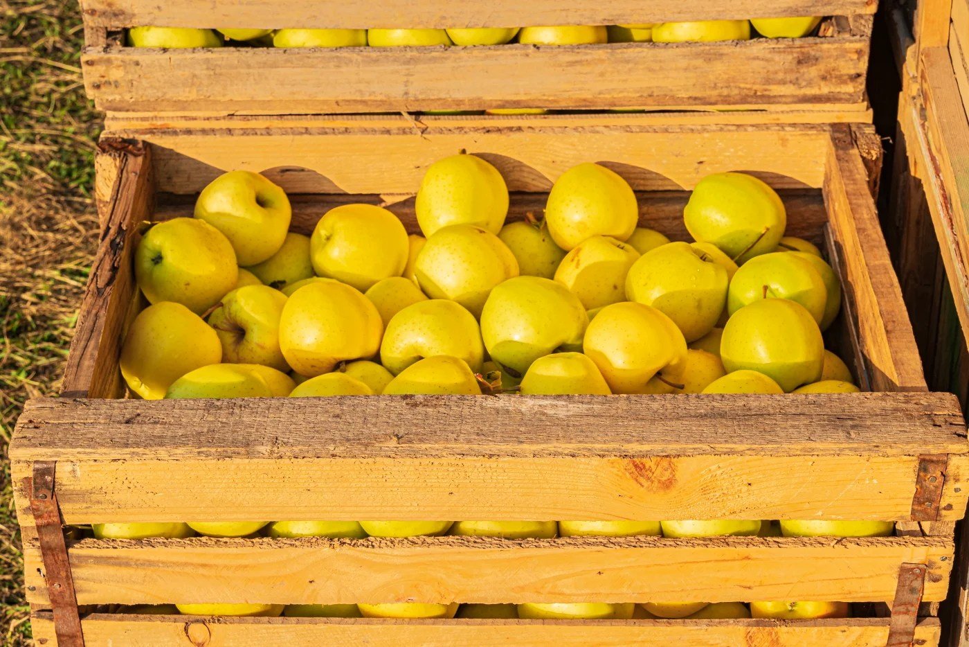 Lead Qualification Strategies for Better Conversions