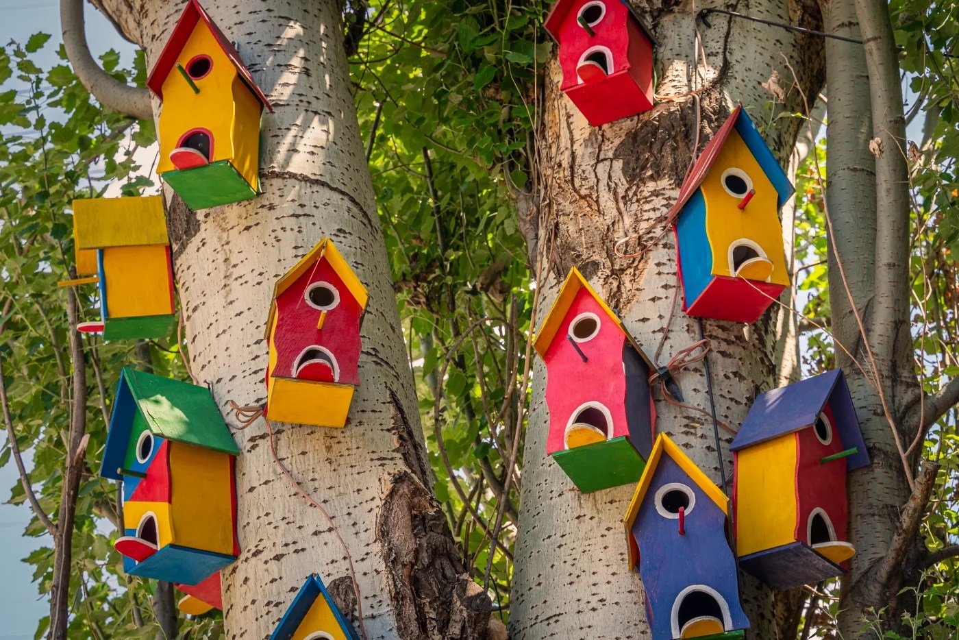Product-led Growth as an Entire Company Initiative